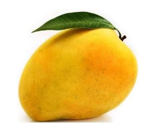 Banganapalli Organic Mangoes – 1kg