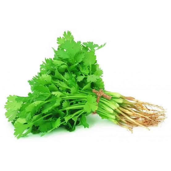 Fresh Coriander (Dhania) - 100g