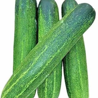 Fresh Cucumber (Kheera) - 500g